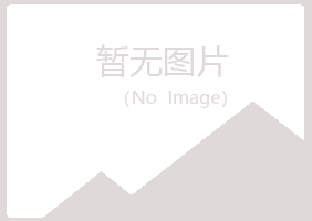 湖北白山建设有限公司